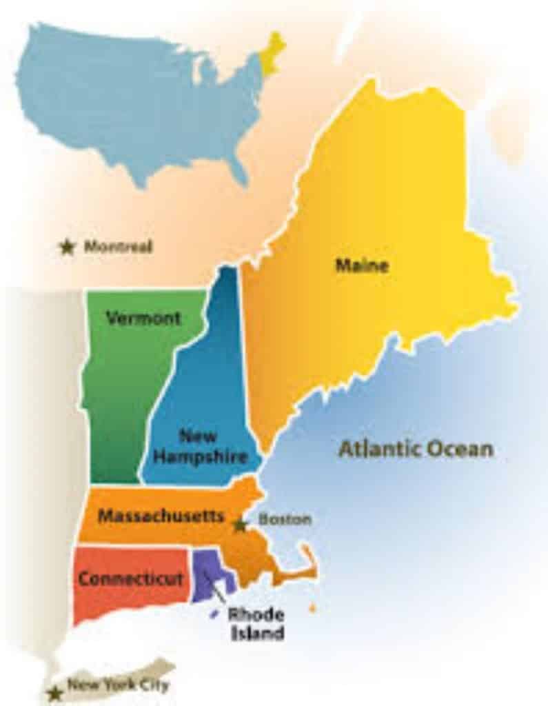 New England Mold Remediation Resources