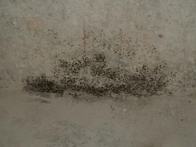 Killing Mold on a Partly Inaccessible Wall