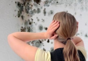 Do I Need A Mold Remediation Contractor?
