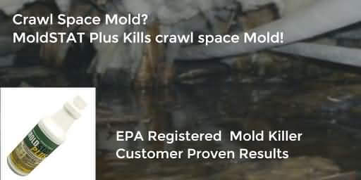 MoldStat Plus Eliminates Crawl Space Mold