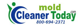 Mold Cleaner Today